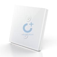 智能觸控平面鋼化玻璃式二位開(kāi)關(guān)面板_百仕誠(chéng)